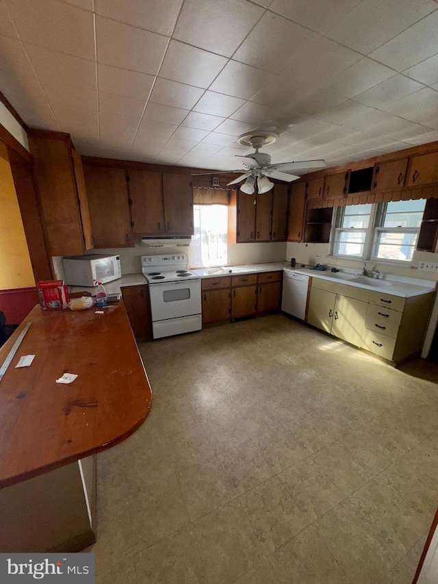 kitchen featuring ceiling fan, white appliances, and sink