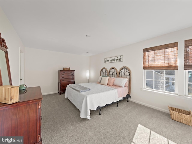 bedroom featuring carpet flooring