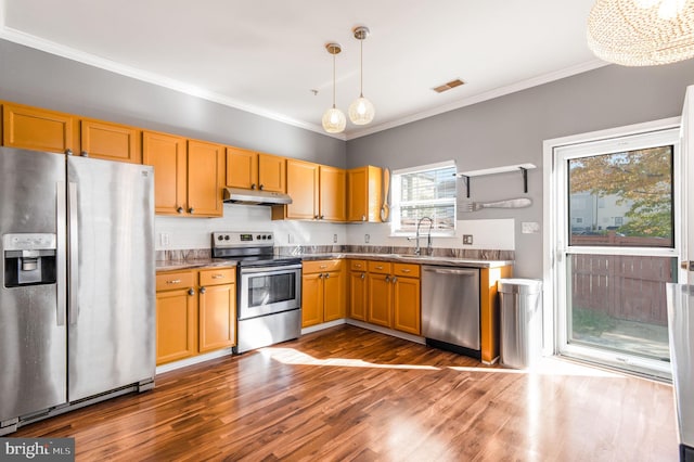 kitchen with sink, crown molding, decorative light fixtures, appliances with stainless steel finishes, and dark hardwood / wood-style flooring