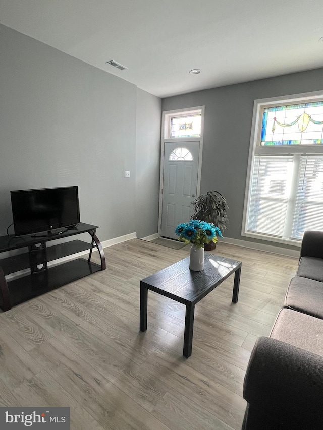 living room featuring light wood-type flooring