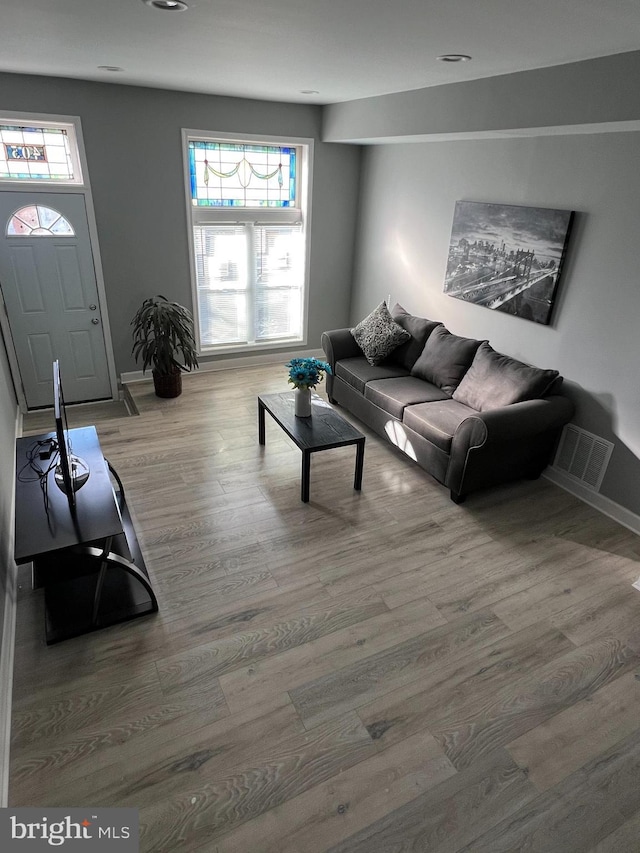 living room with hardwood / wood-style floors