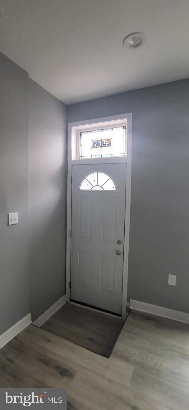 foyer entrance with wood-type flooring