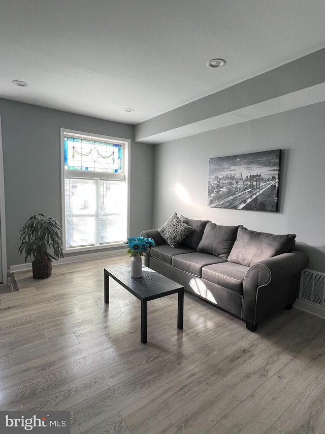 living room featuring wood-type flooring