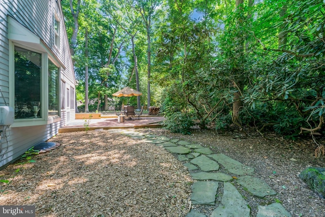 view of yard featuring a patio