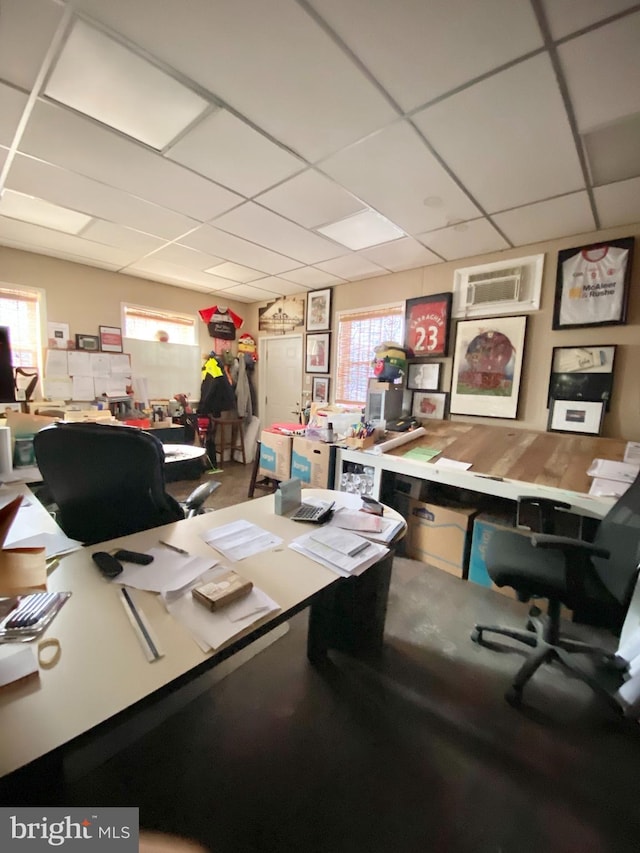 office area featuring a healthy amount of sunlight and a drop ceiling