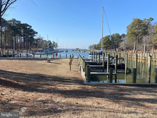 dock area with a water view