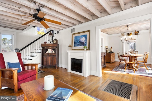 living room featuring beamed ceiling, ceiling fan with notable chandelier, and hardwood / wood-style floors