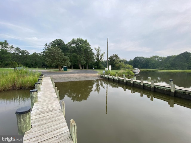 dock area with a water view