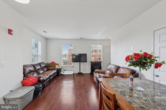 living room featuring dark hardwood / wood-style flooring