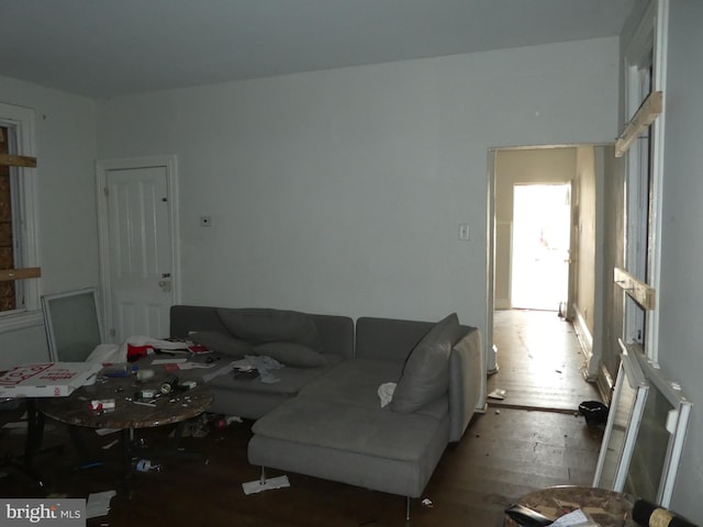 living room featuring hardwood / wood-style flooring