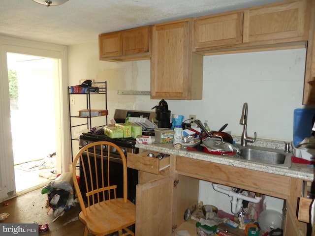 kitchen with sink, a textured ceiling, and light brown cabinetry