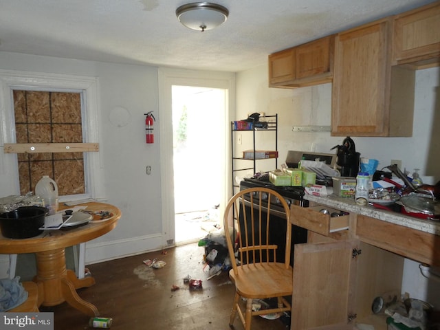 kitchen featuring dark hardwood / wood-style floors