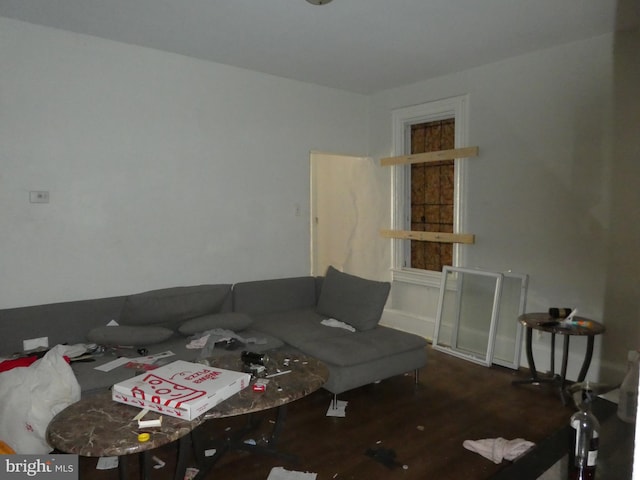 living room featuring dark hardwood / wood-style floors