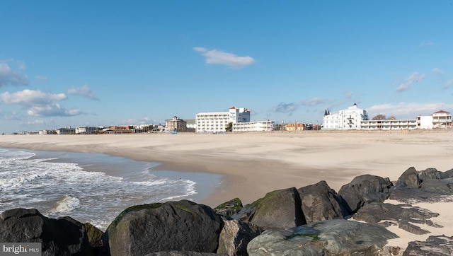 view of water feature with a beach view