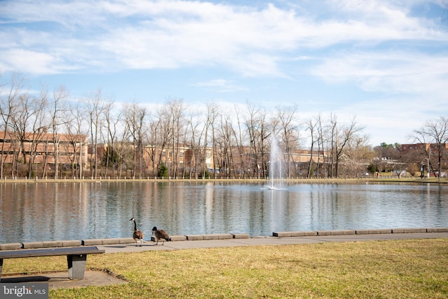 view of water feature