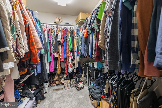 spacious closet with carpet flooring