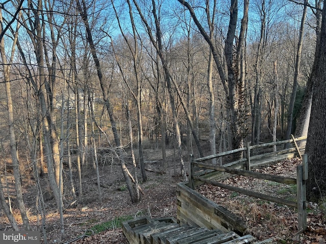 view of local wilderness