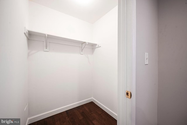 spacious closet featuring dark wood finished floors