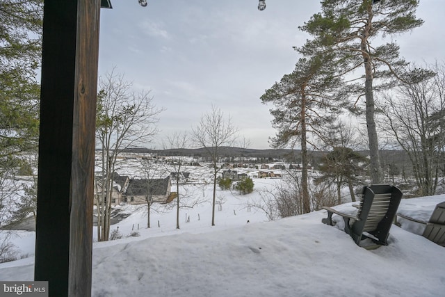 view of yard layered in snow