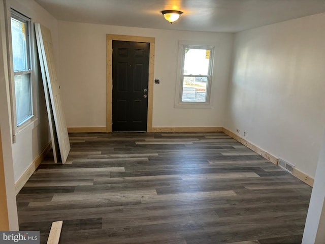 entrance foyer featuring dark hardwood / wood-style flooring