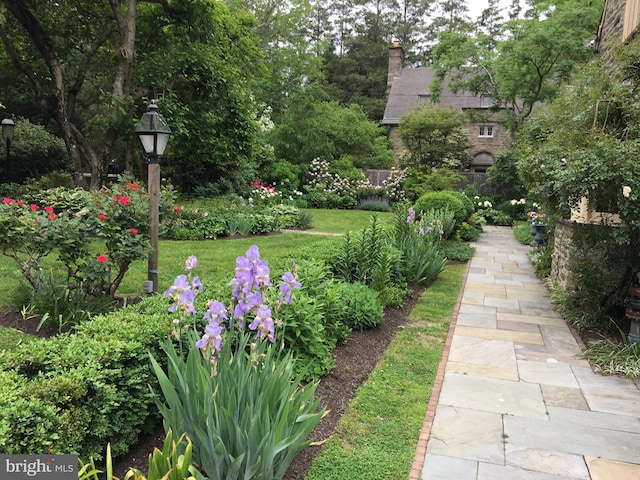 view of property's community featuring a lawn