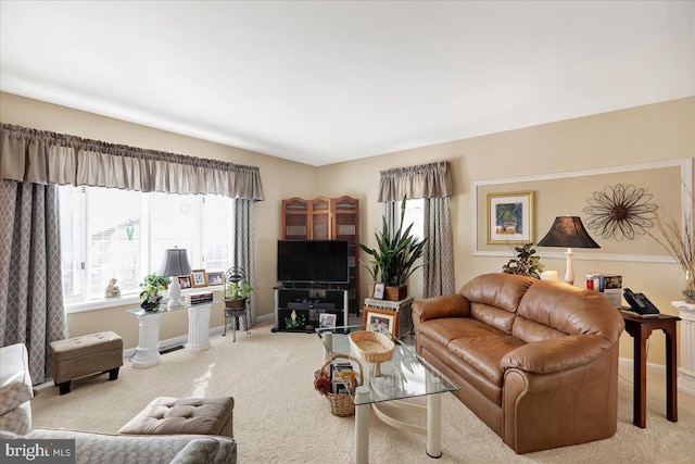 living room featuring carpet floors