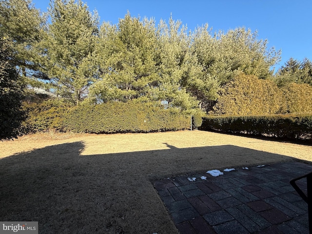 view of yard with a patio