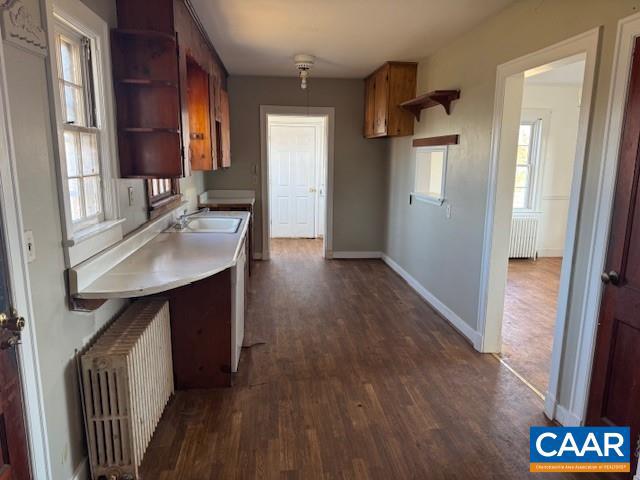 kitchen featuring radiator, dark hardwood / wood-style floors, and sink