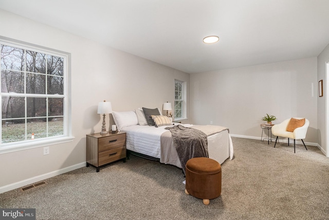 bedroom featuring carpet flooring