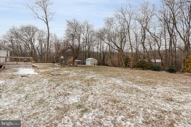 view of yard with a storage shed and a deck