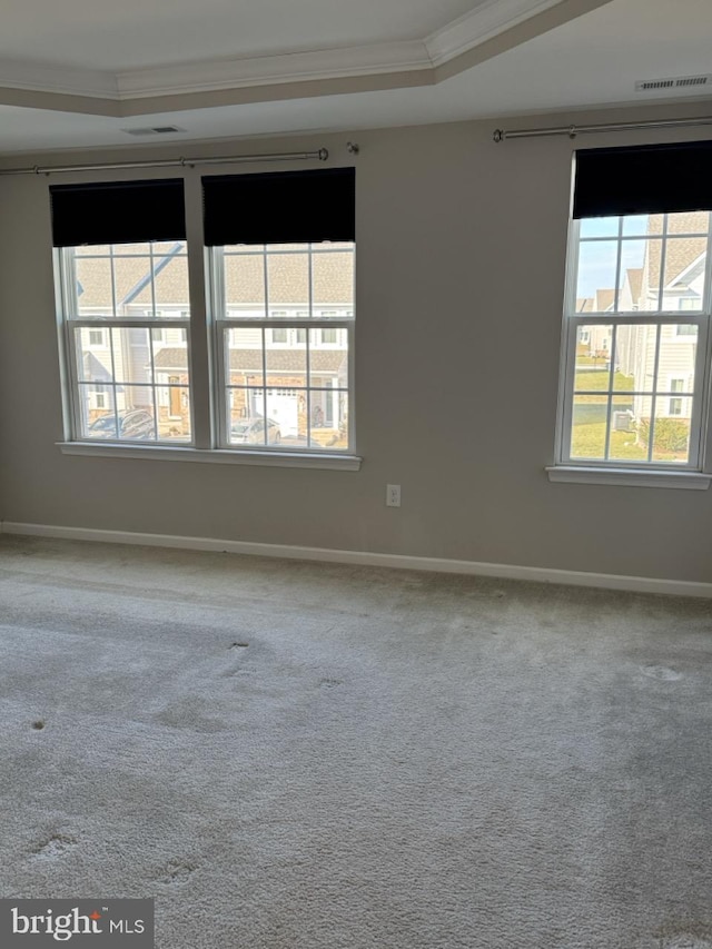 unfurnished room with a tray ceiling, ornamental molding, and carpet