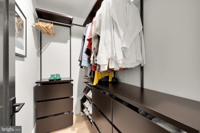 view of spacious closet