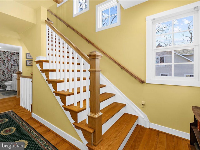 stairway with hardwood / wood-style floors