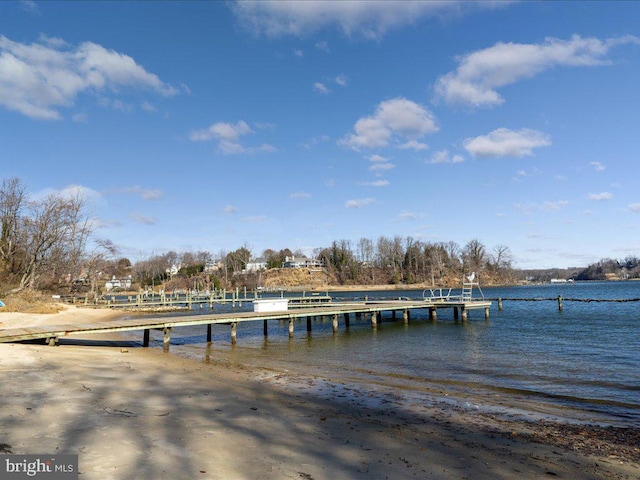 dock area with a water view