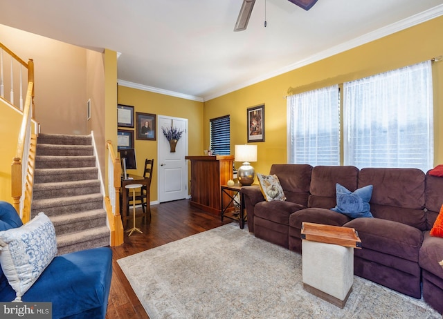 living room featuring dark hardwood / wood-style flooring, ornamental molding, and ceiling fan