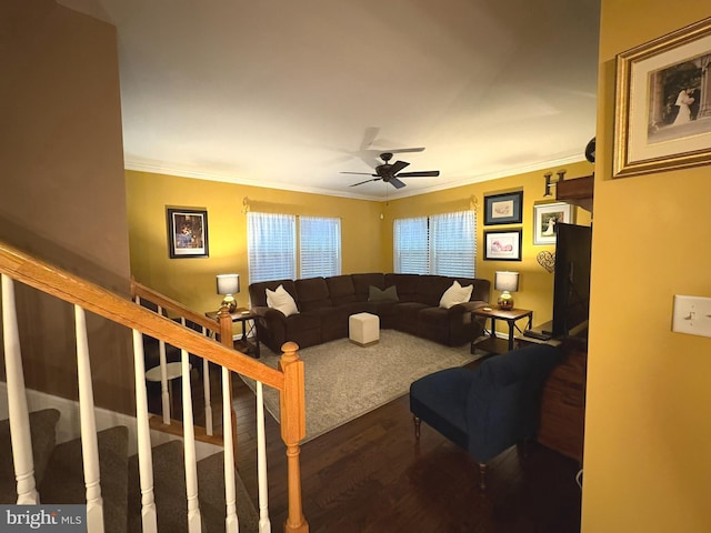 living room with ornamental molding, dark wood-type flooring, and ceiling fan