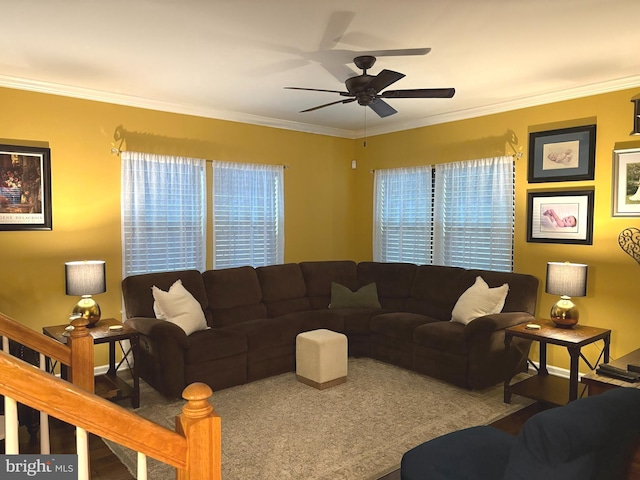 living room with ornamental molding, a healthy amount of sunlight, and ceiling fan