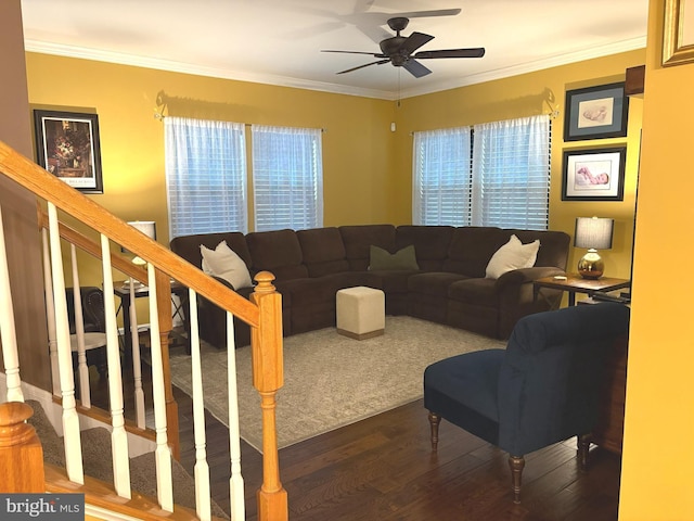 living room with crown molding, ceiling fan, dark hardwood / wood-style floors, and a wealth of natural light