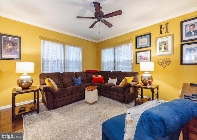 living room featuring crown molding, ceiling fan, and wood-type flooring