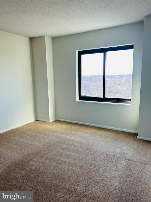 carpeted spare room with a textured ceiling