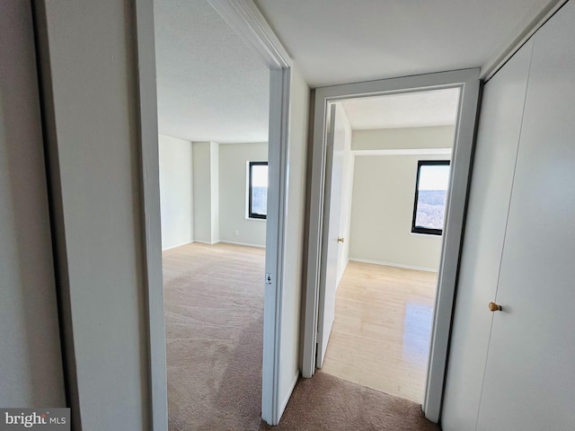 hallway with light colored carpet