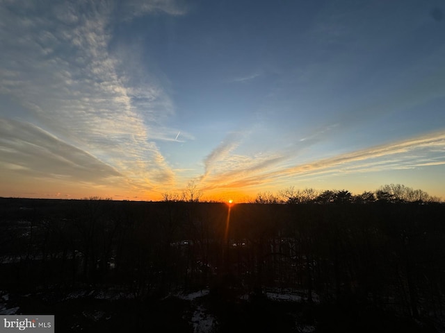 view of nature at dusk