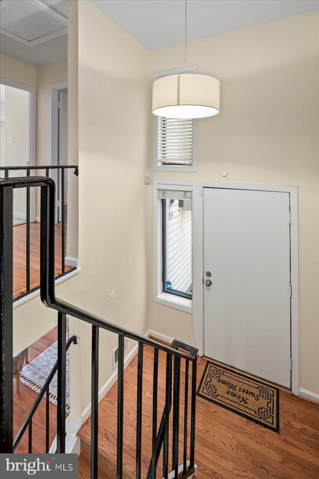 entryway featuring wood-type flooring