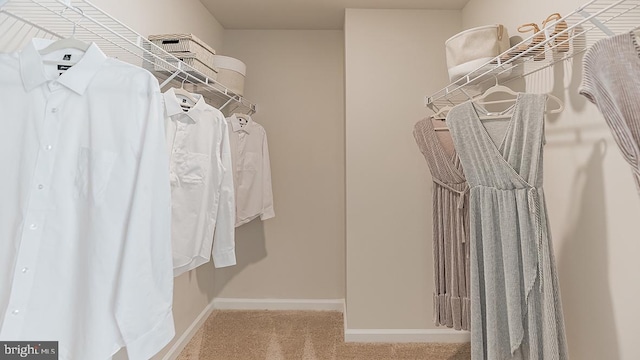 walk in closet with light colored carpet