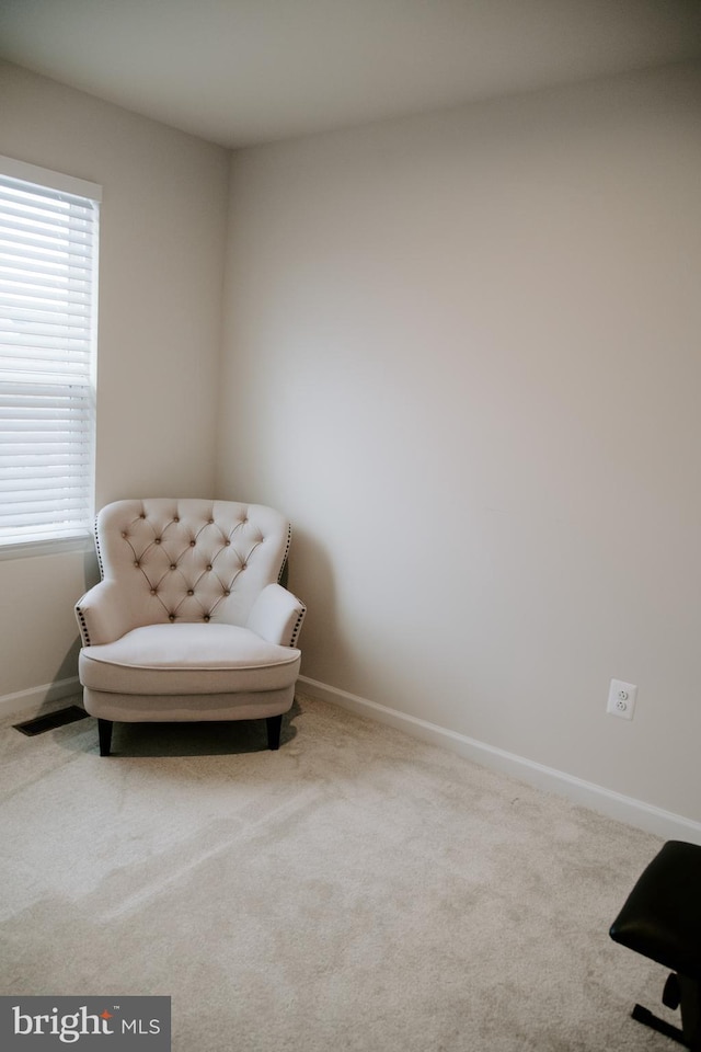 sitting room featuring carpet floors