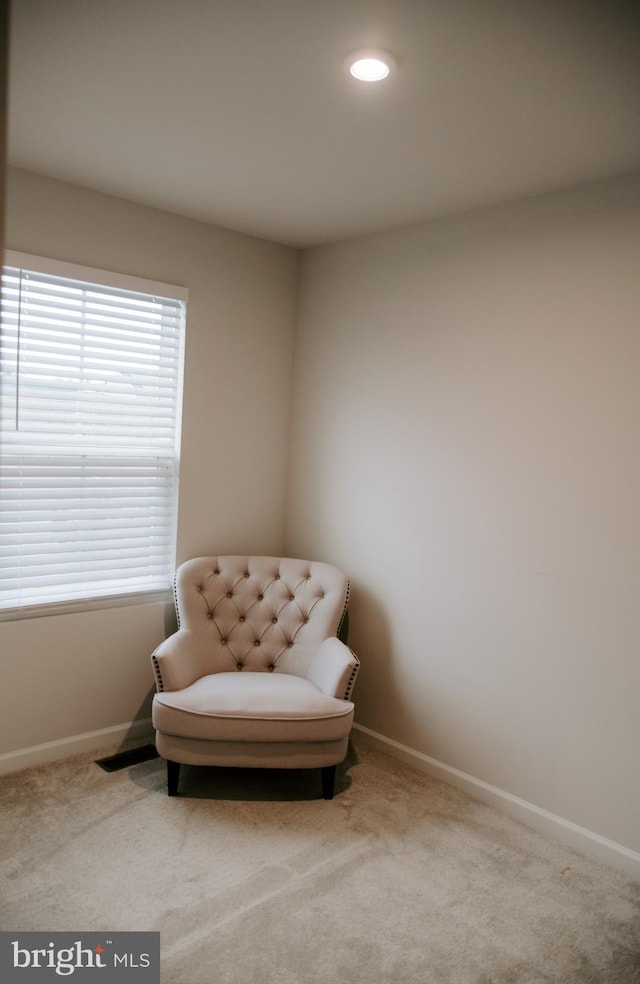 living area featuring carpet flooring