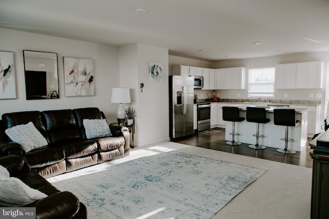 living room featuring sink