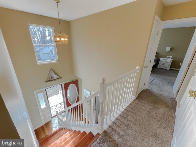 stairway with a high ceiling, carpet, a wealth of natural light, and an inviting chandelier