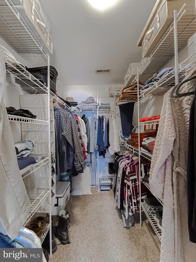 view of spacious closet
