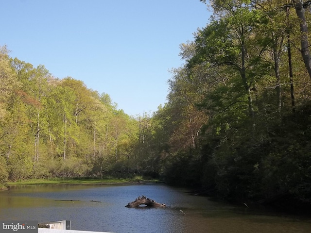 property view of water
